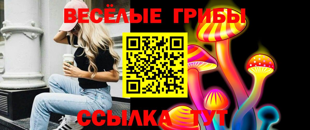 Тула  Галлюциногенные грибы мицелий  Вход с VPN 